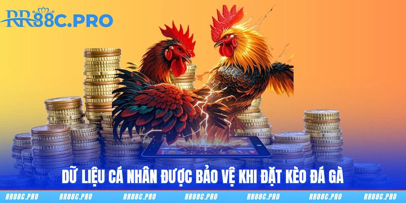 Dữ liệu cá nhân được bảo vệ khi đặt kèo Đá gà Dữ liệu cá nhân được bảo vệ khi đặt kèo Đá gà